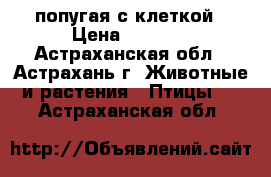 2 попугая с клеткой › Цена ­ 1 500 - Астраханская обл., Астрахань г. Животные и растения » Птицы   . Астраханская обл.